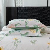 红蜻蜓时尚全棉四件套-清韵悠梦HQT-TJ8501