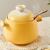 苏泊尔新陶养生煲·蛋黄煲系列·汤煲煲/EB45WT01