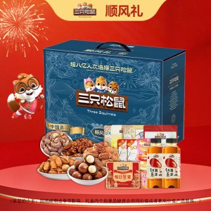 三只松鼠H顺风礼2635g