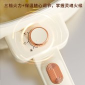 德博莱 玫瑰金电炒锅