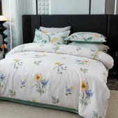 红蜻蜓时尚全棉四件套-清韵悠梦HQT-TJ8501