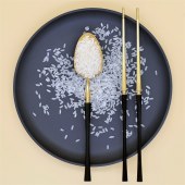 龙稻  五常大米 京享膳品