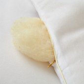 天琴伊棉大豆被TQ-B084