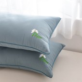 天琴洋甘菊健康对枕TQ-J63