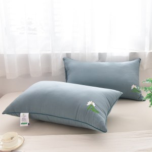 天琴洋甘菊健康对枕TQ-J63