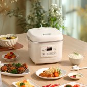 尚朋堂电饭煲SPT-FB4070D-P62/BAI/CY