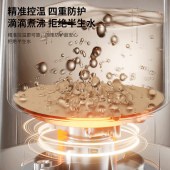 AUX奥克斯电热水壶APL-1870