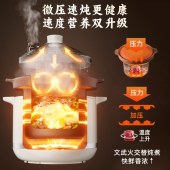 小熊5.5L电砂锅LDDG-E50S5