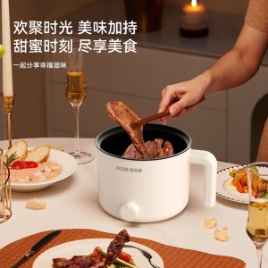 AUX奥克斯多用途电热锅APL-1203B