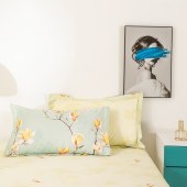 多喜爱（Dohia）100%棉（全棉）纱布材料四件套雪玉知春203*229cm