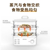 山水多功能双层电蒸锅SZG10