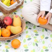 驿客防水野餐垫（小飞叶）EKH-9015