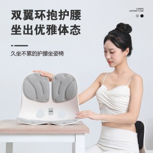 佳奥 挑战者护腰坐姿椅252106J31XHZLB5灰色43*34*35cm