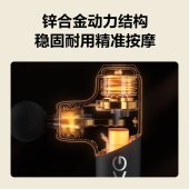 SKG筋膜枪F3-2尊享款