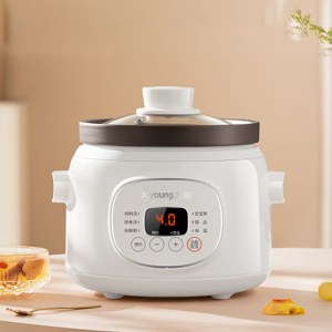 九阳电炖锅DG15Z-GD619