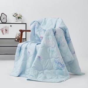 梦洁家纺舒柔清爽夏凉被沁芳150*200cm（240g）