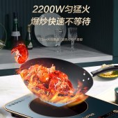苏泊尔（SUPOR）ZMD安心系列电磁炉锅具套装（电磁炉+炒锅+汤锅）C22-IH99