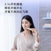 海尔电动牙刷HTJD01-QFM