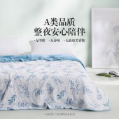LOVO 西野南风抗菌夏被200*230