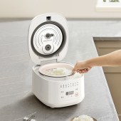 九阳2L电饭煲F-20FY2