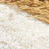 珍粒香核心产区五常大米5kg
