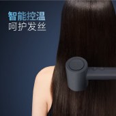 奔腾高速吹风机PH8001
