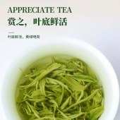 贵天下都匀毛尖高速版礼盒120克（15克*8袋）