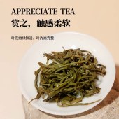 贵天下茉莉毛尖250克/袋