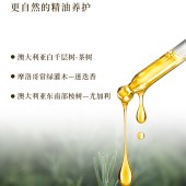 舒蕾芳韵柔滑修护洗发露500g