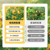 黔雅集双有机刺梨原液实惠装35ml*15袋/袋