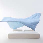 金丝莉恒温深睡被JB-1556（200×230cm）
