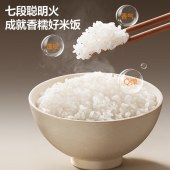 苏泊尔0涂层内胆4L家用智能电饭煲F40F123S