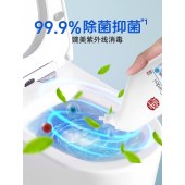 蔬果园银针雪松洁厕剂SGY0578
