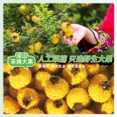 黔雅集有机刺梨原液50ml*12支/盒