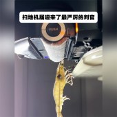 追觅X60Pro Steam【蒸汽版】扫地机器人扫拖洗烘一体自清洁双目活水洗拖吸一体水箱版