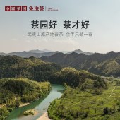 小罐茶园金标系列金骏眉红茶2.0版